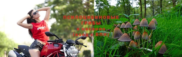прущая мука Абаза