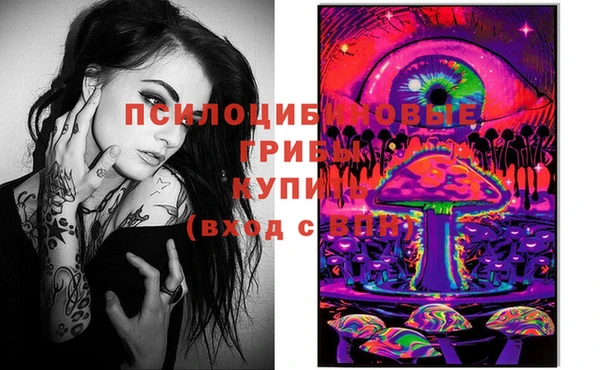 прущая мука Абаза